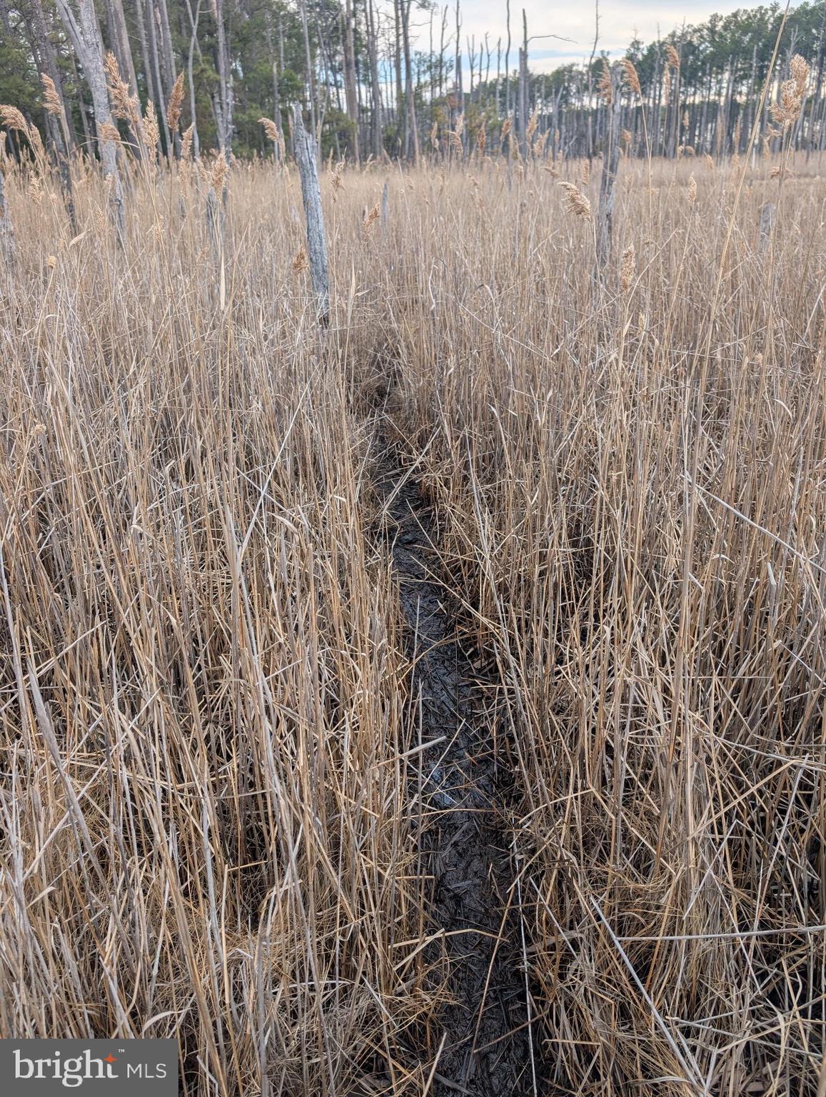 2775 Toddville Road Toddville, MD 21672 - Photo 20 of 59