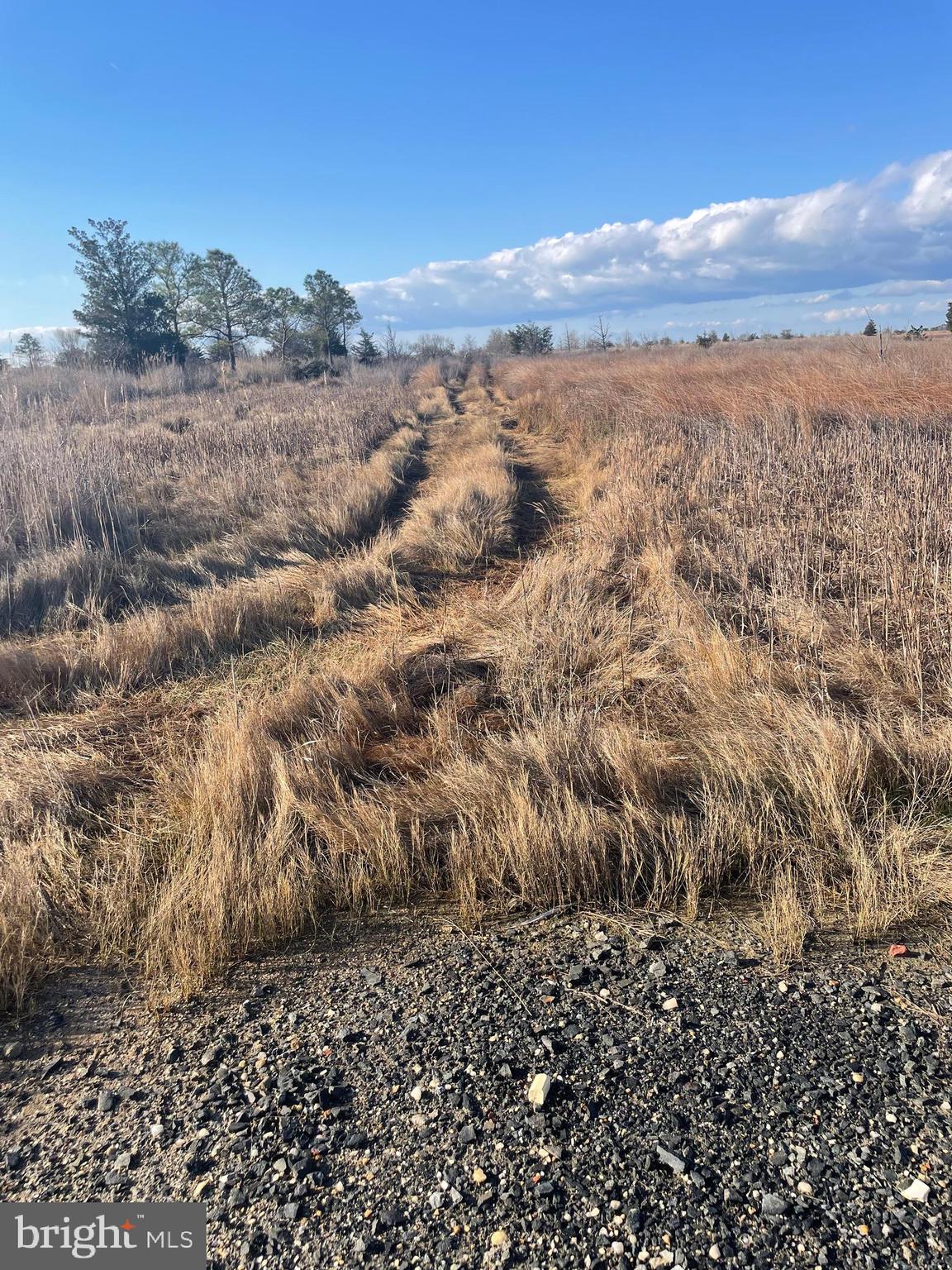 2775 Toddville Road Toddville, MD 21672 - Photo 21 of 59