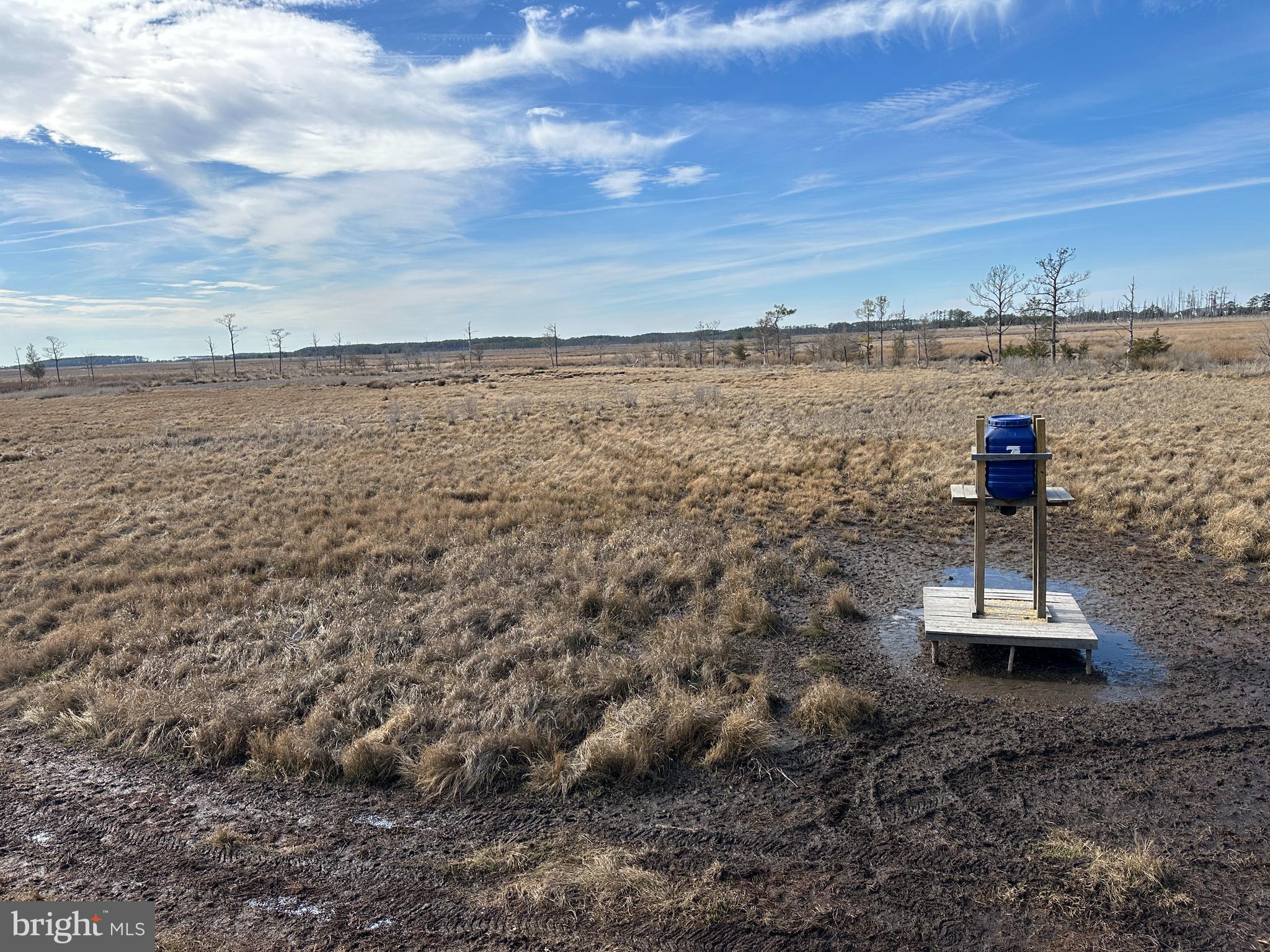 2775 Toddville Road Toddville, MD 21672 - Photo 24 of 59 a view of a lake with a city skyline in the background