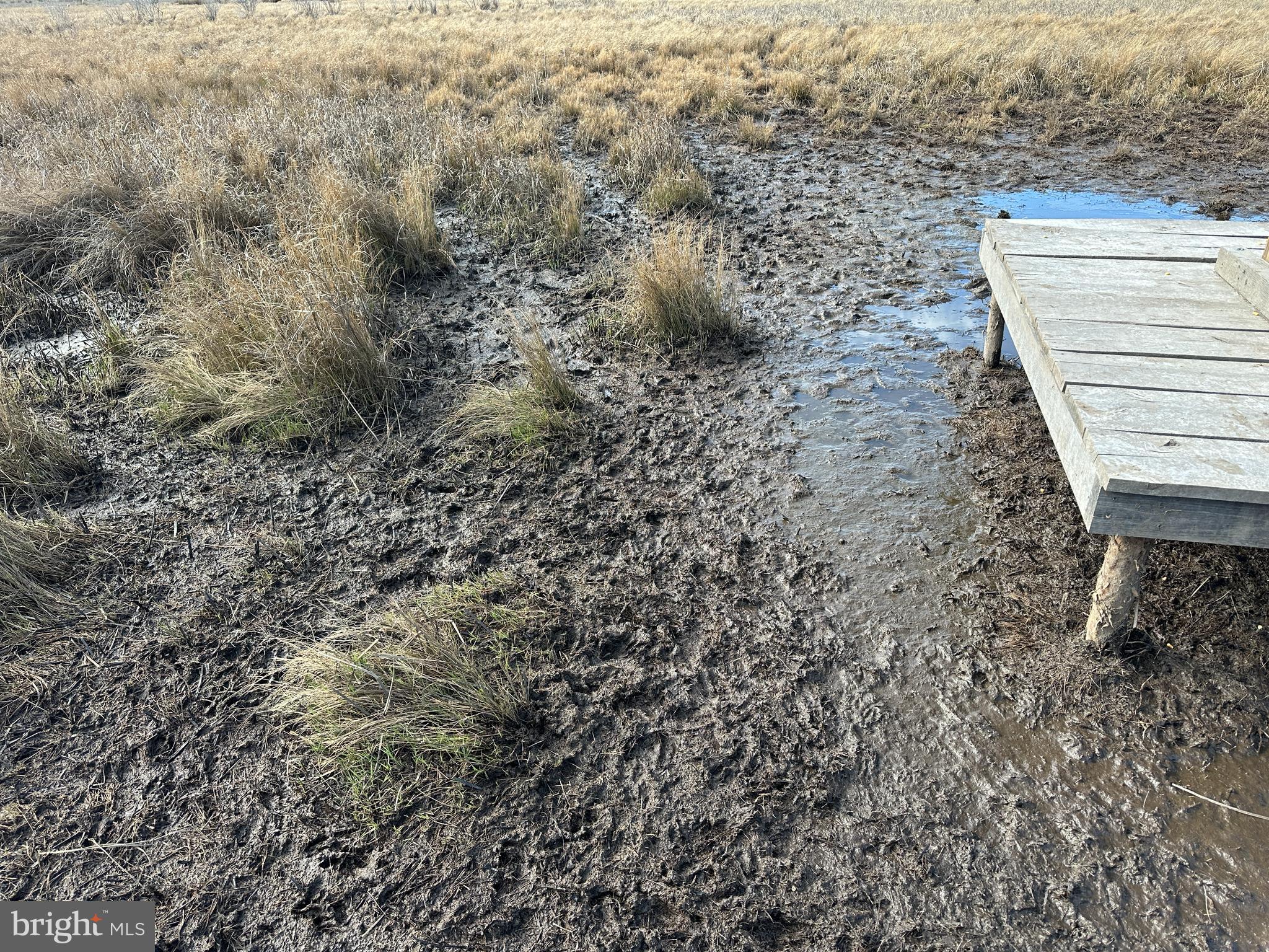 2775 Toddville Road Toddville, MD 21672 - Photo 26 of 59