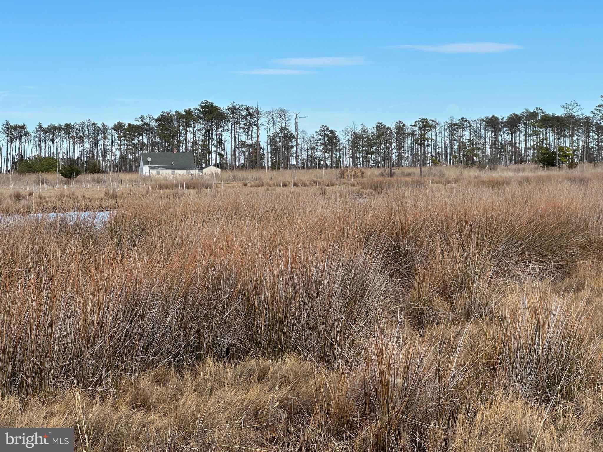 2775 Toddville Road Toddville, MD 21672 - Photo 27 of 59 a view of a lake with a yard
