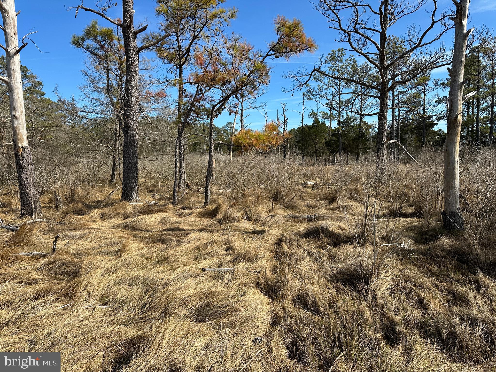 2775 Toddville Road Toddville, MD 21672 - Photo 32 of 59