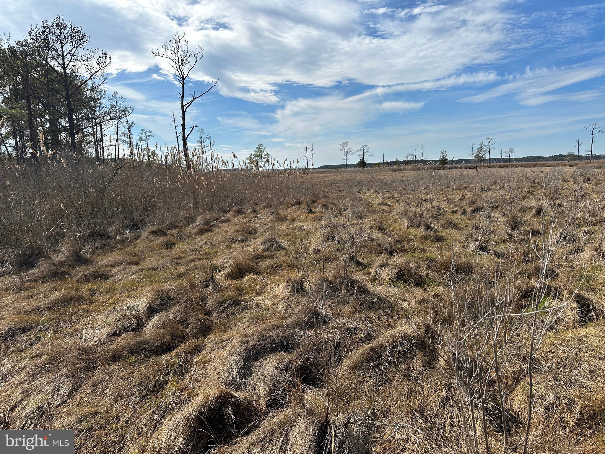 2775 Toddville Road Toddville, MD 21672 - Photo 34 of 59