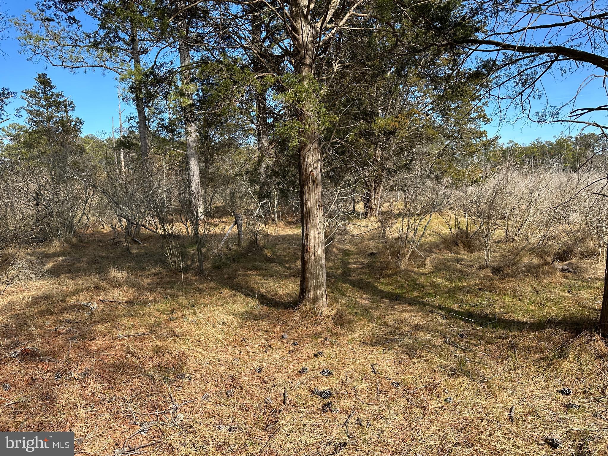 2775 Toddville Road Toddville, MD 21672 - Photo 39 of 59