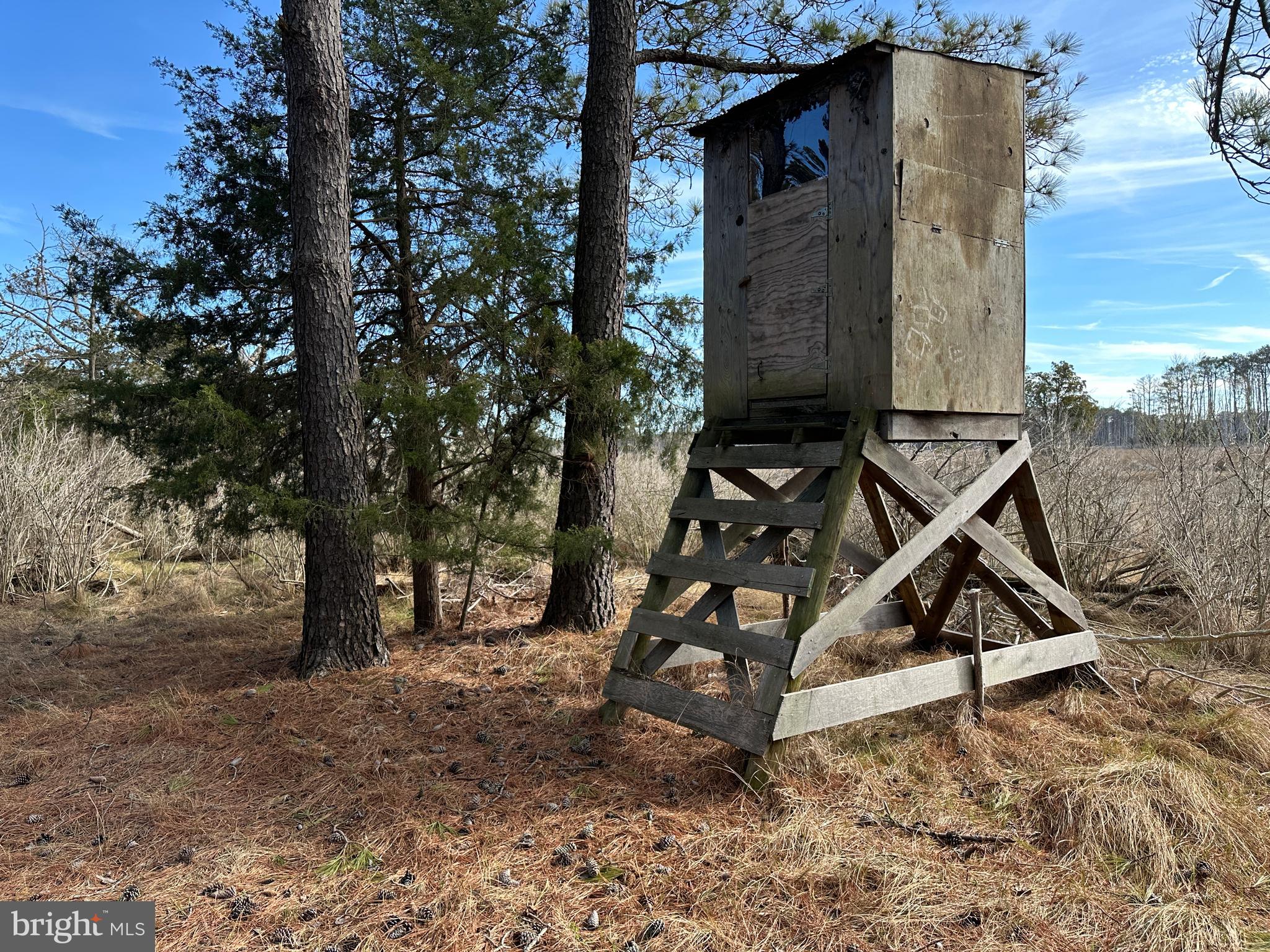 2775 Toddville Road Toddville, MD 21672 - Photo 40 of 59