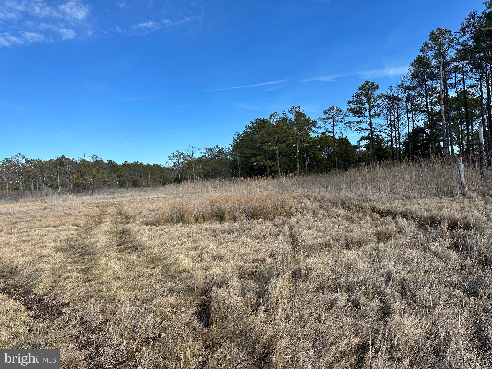 2775 Toddville Road Toddville, MD 21672 - Photo 45 of 59 a view of a lake with houses in the back