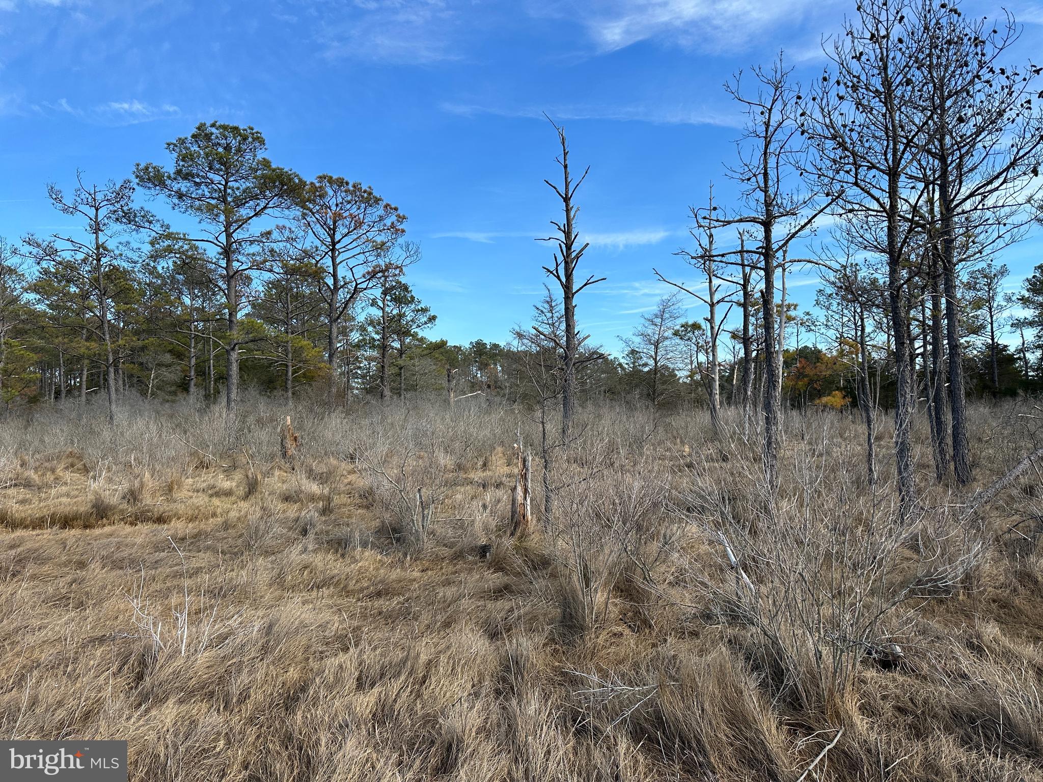 2775 Toddville Road Toddville, MD 21672 - Photo 46 of 59 a view of a lake in between two of the house