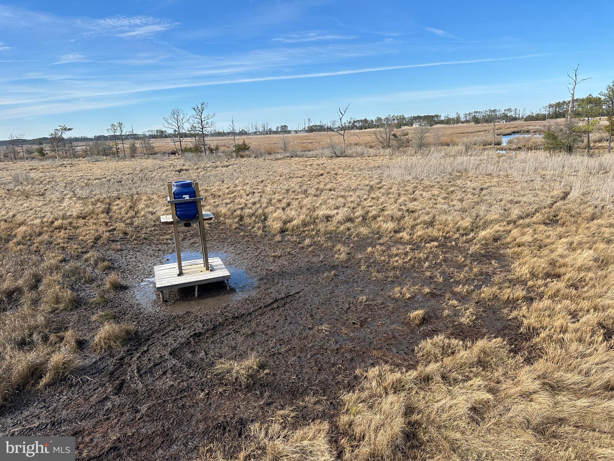 2775 Toddville Road Toddville, MD 21672 - Photo 47 of 59 a view of a lake with a mountain