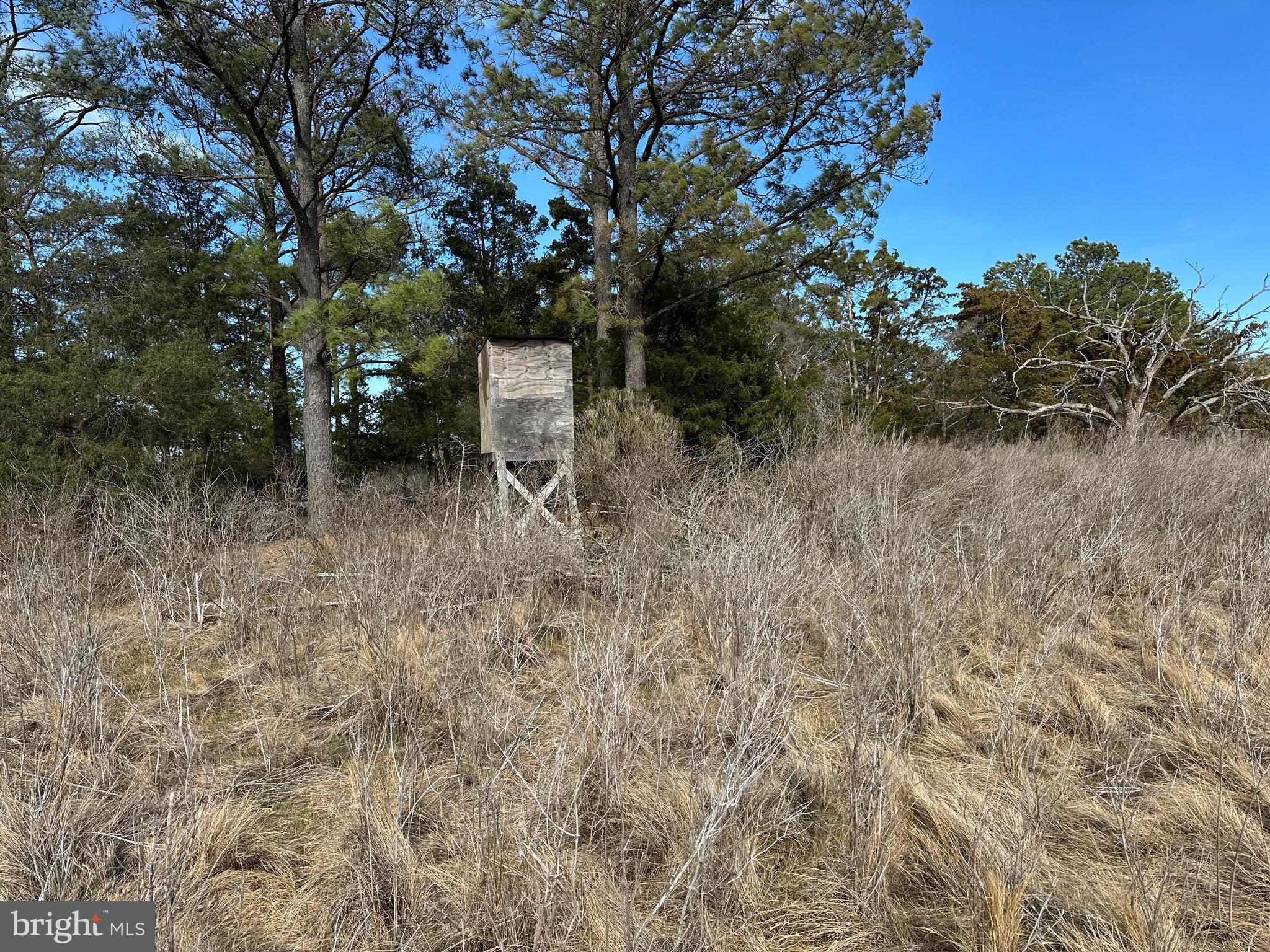 2775 Toddville Road Toddville, MD 21672 - Photo 48 of 59 a backyard of a house with lots of green space
