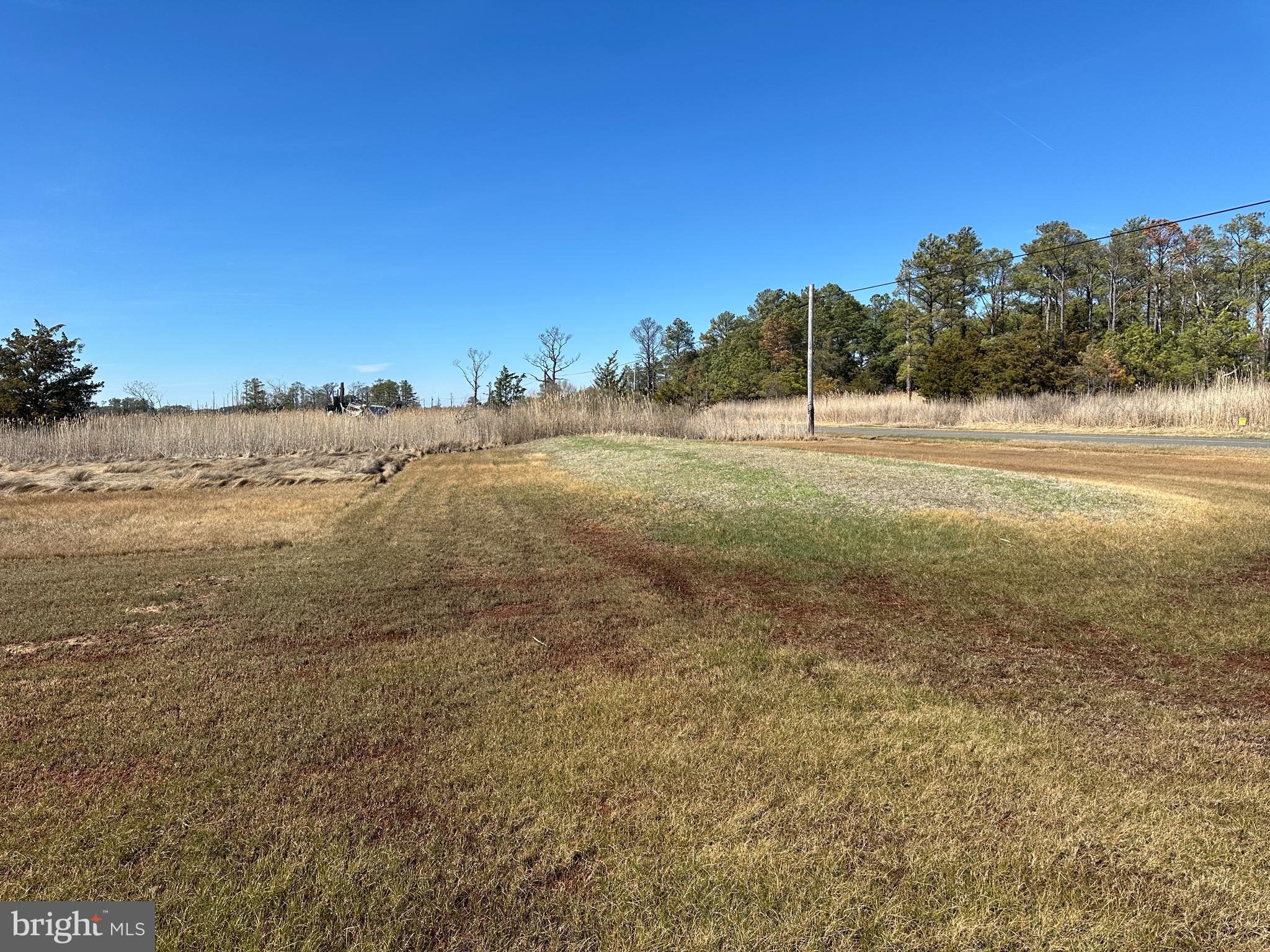 2775 Toddville Road Toddville, MD 21672 - Photo 6 of 59 a view of an outdoor space and ocean view