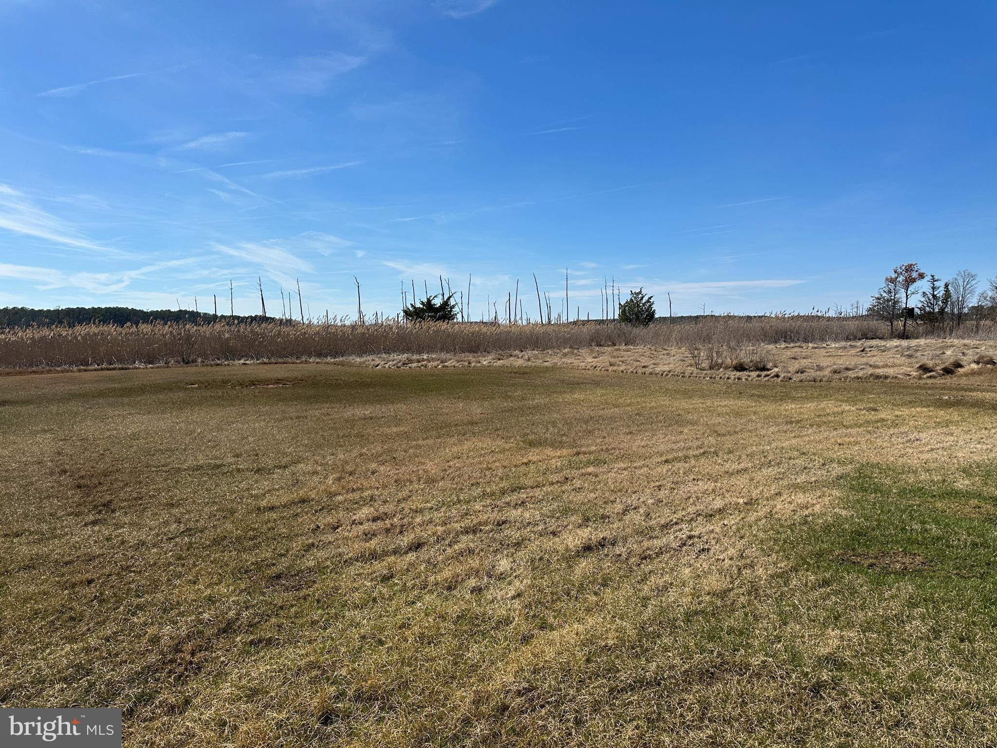 2775 Toddville Road Toddville, MD 21672 - Photo 8 of 59 a view of an ocean