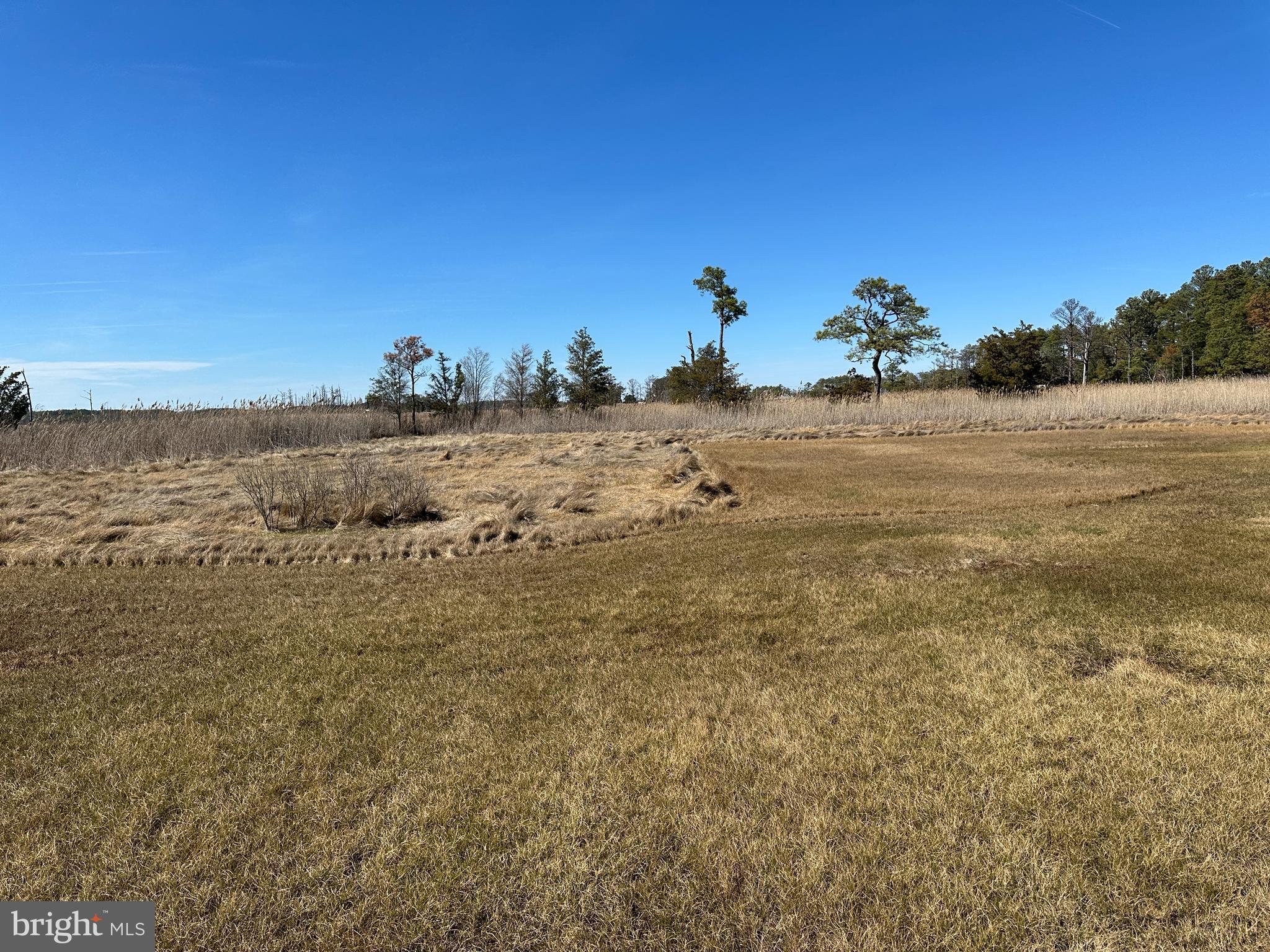2775 Toddville Road Toddville, MD 21672 - Photo 9 of 59 a view of beach and ocean