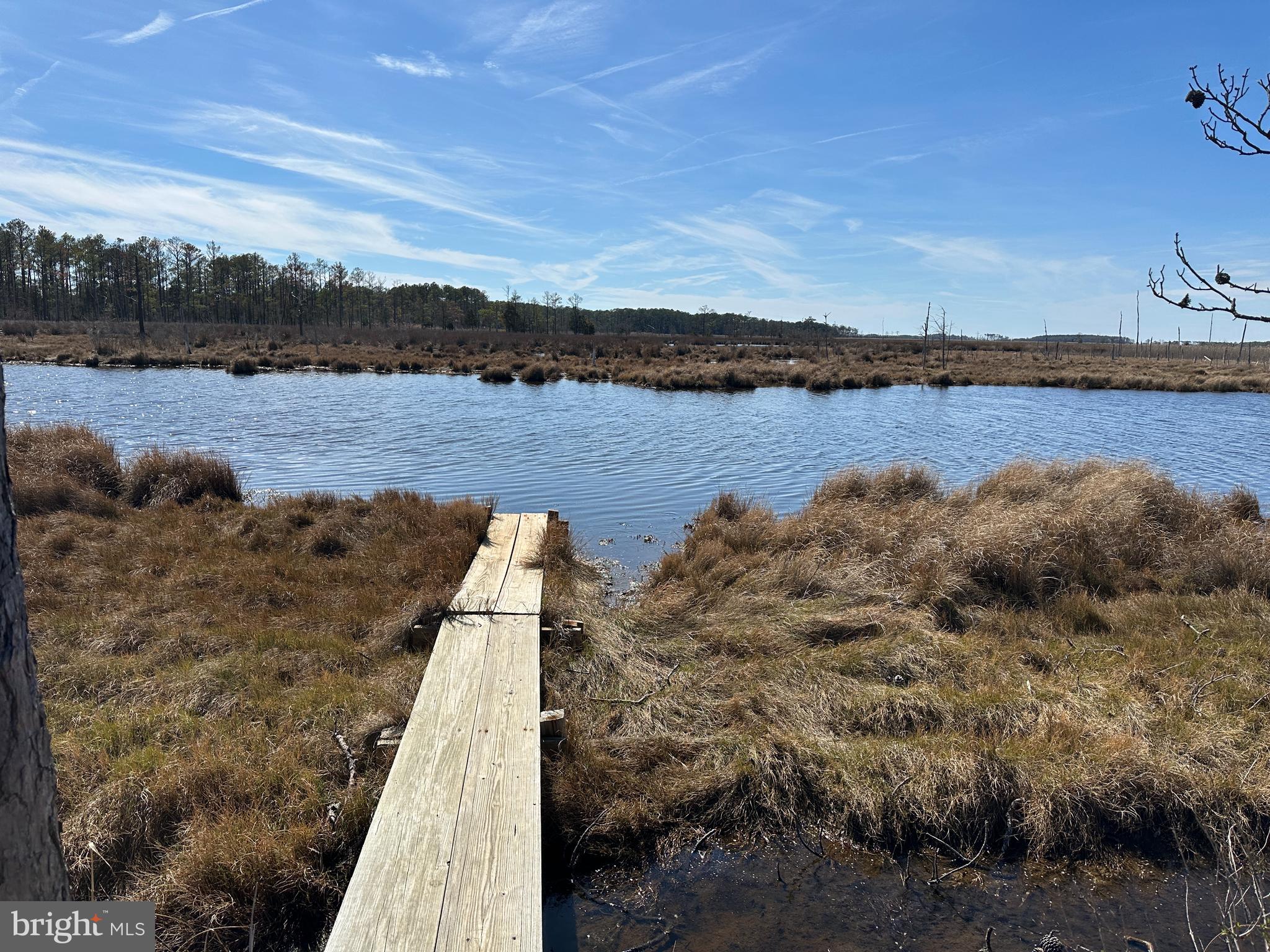 2775 Toddville Road Toddville, MD 21672 - Photo 10 of 59