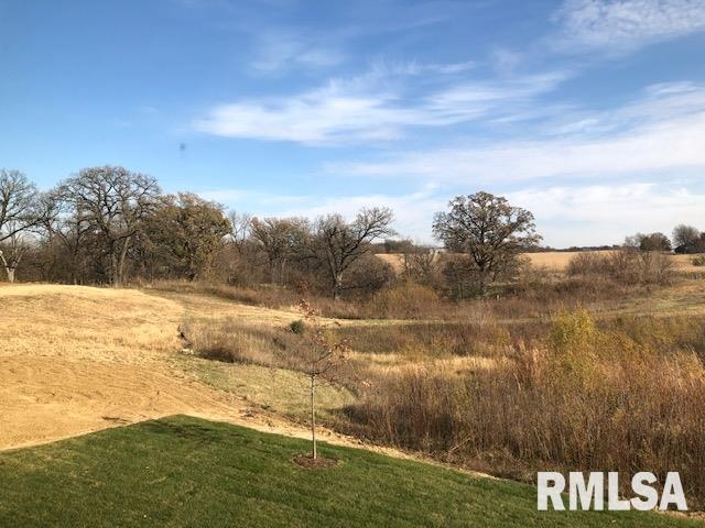 621 Rock Point Road Colona, IL 61241 - Photo 21 of 22 Gallery Image 21