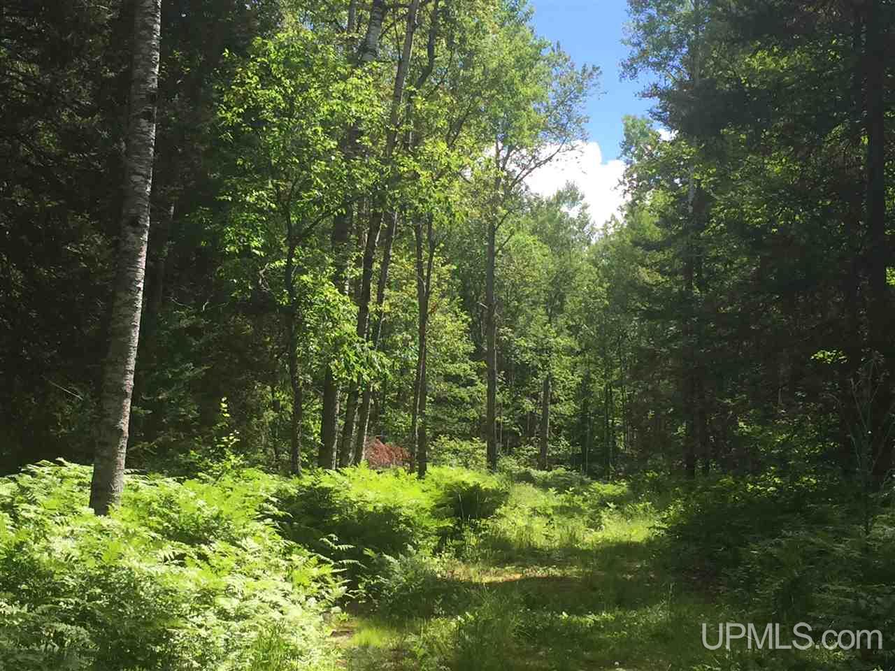Tbd Simons Lake Road Republic, MI 49879 - Photo 8 of 25 Gallery Image 8