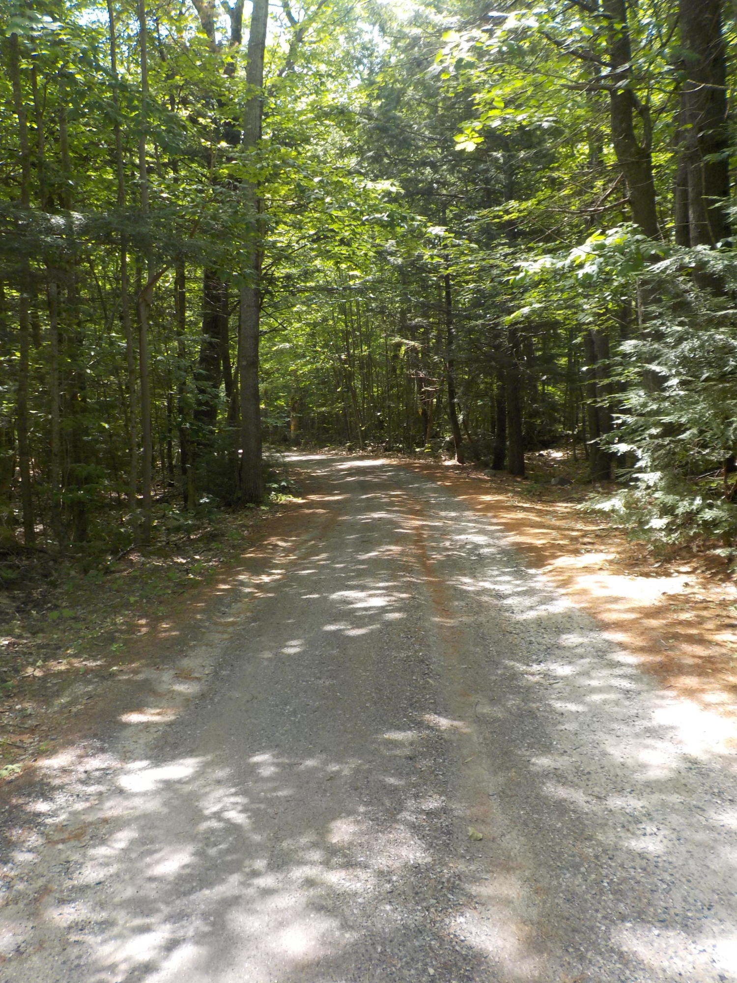 89 Gerry Road Otisfield, ME 04270 - Photo 14 of 14 road 3