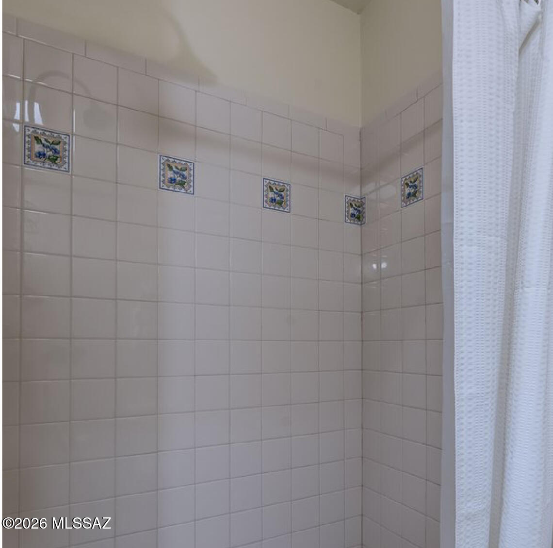 8067 East Shadow Canyon Road, Unit 13 Tucson, AZ 85750 - Photo 28 of 34 IMG_4559