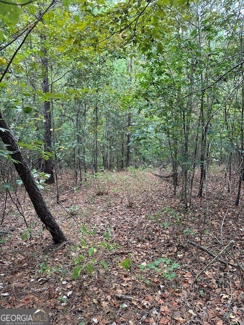 0 Woodland Road Thomaston, GA 30286 - Photo 11 of 22