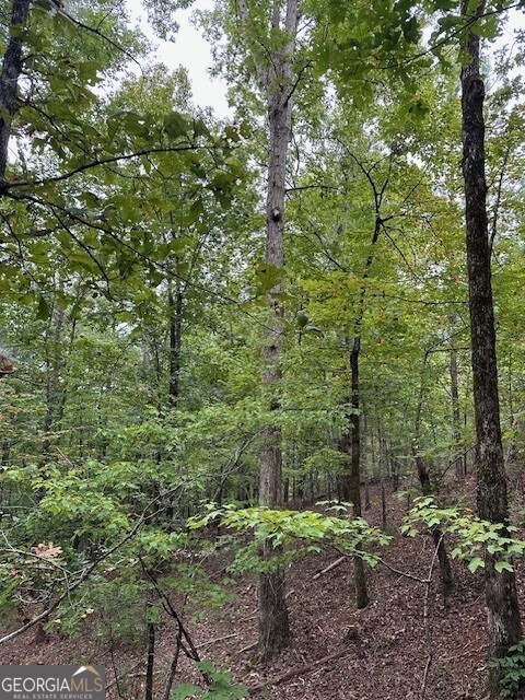 0 Woodland Road Thomaston, GA 30286 - Photo 13 of 22