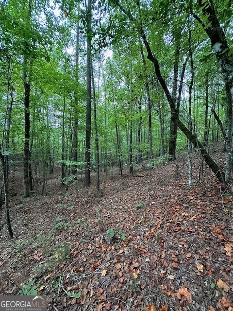 0 Woodland Road Thomaston, GA 30286 - Photo 18 of 22