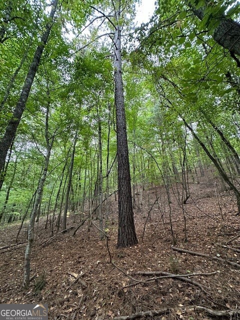 0 Woodland Road Thomaston, GA 30286 - Photo 19 of 22