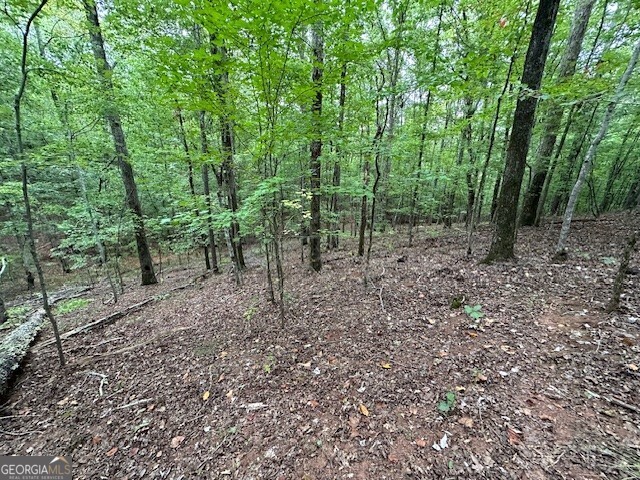 0 Woodland Road Thomaston, GA 30286 - Photo 20 of 22