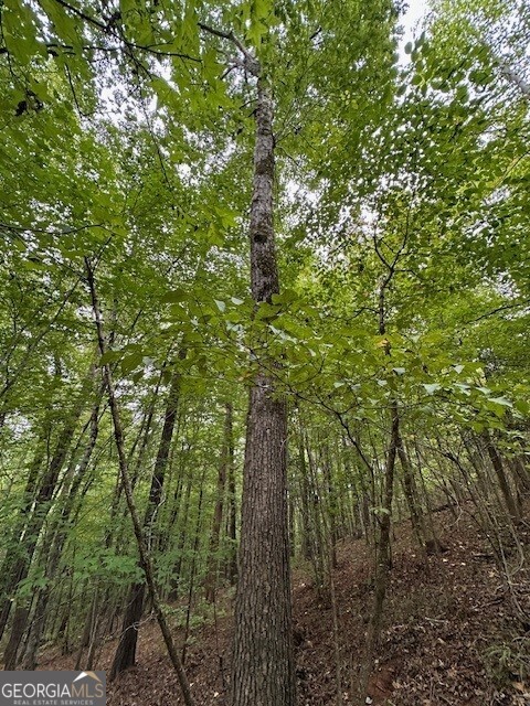 0 Woodland Road Thomaston, GA 30286 - Photo 21 of 22