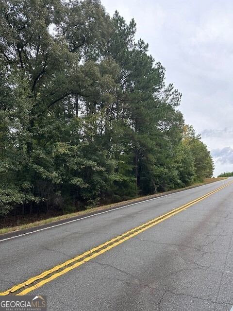 0 Woodland Road Thomaston, GA 30286 - Photo 3 of 22