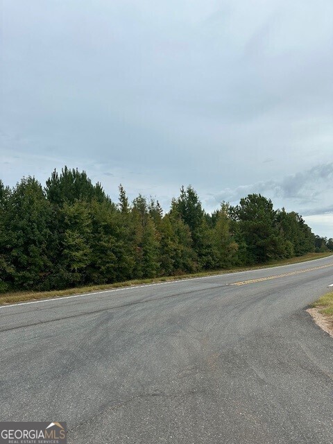 0 Woodland Road Thomaston, GA 30286 - Photo 4 of 22