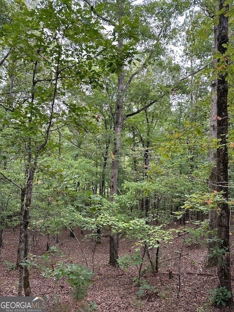 0 Woodland Road Thomaston, GA 30286 - Photo 5 of 22