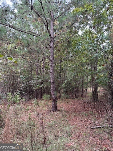 0 Woodland Road Thomaston, GA 30286 - Photo 7 of 22