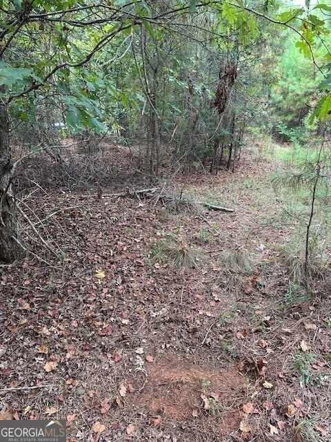 0 Woodland Road Thomaston, GA 30286 - Photo 8 of 22