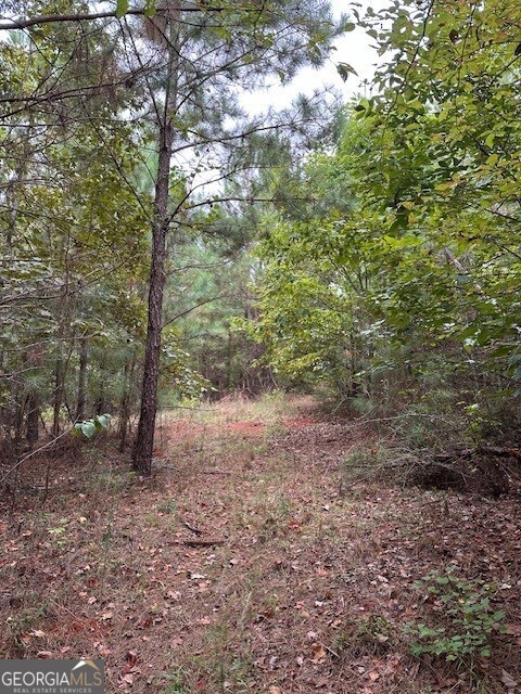 0 Woodland Road Thomaston, GA 30286 - Photo 9 of 22