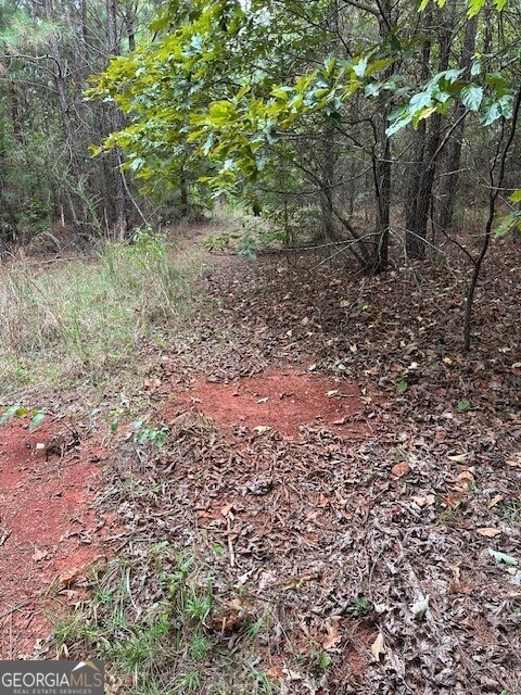 0 Woodland Road Thomaston, GA 30286 - Photo 10 of 22