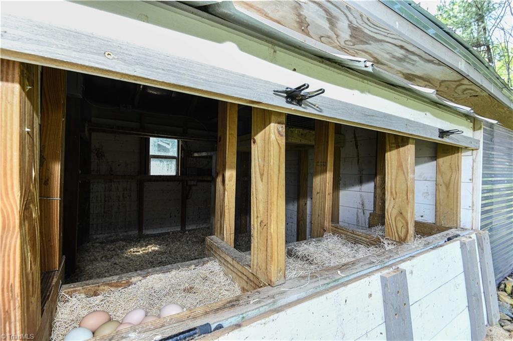 7164 Ludgate Road Gibsonville, NC 27249 - Photo 28 of 50 Exterior door for egg gathering