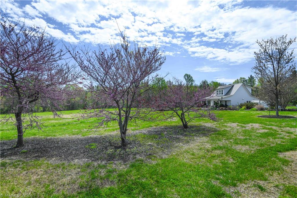 7164 Ludgate Road Gibsonville, NC 27249 - Photo 42 of 50 Trees lining driveway