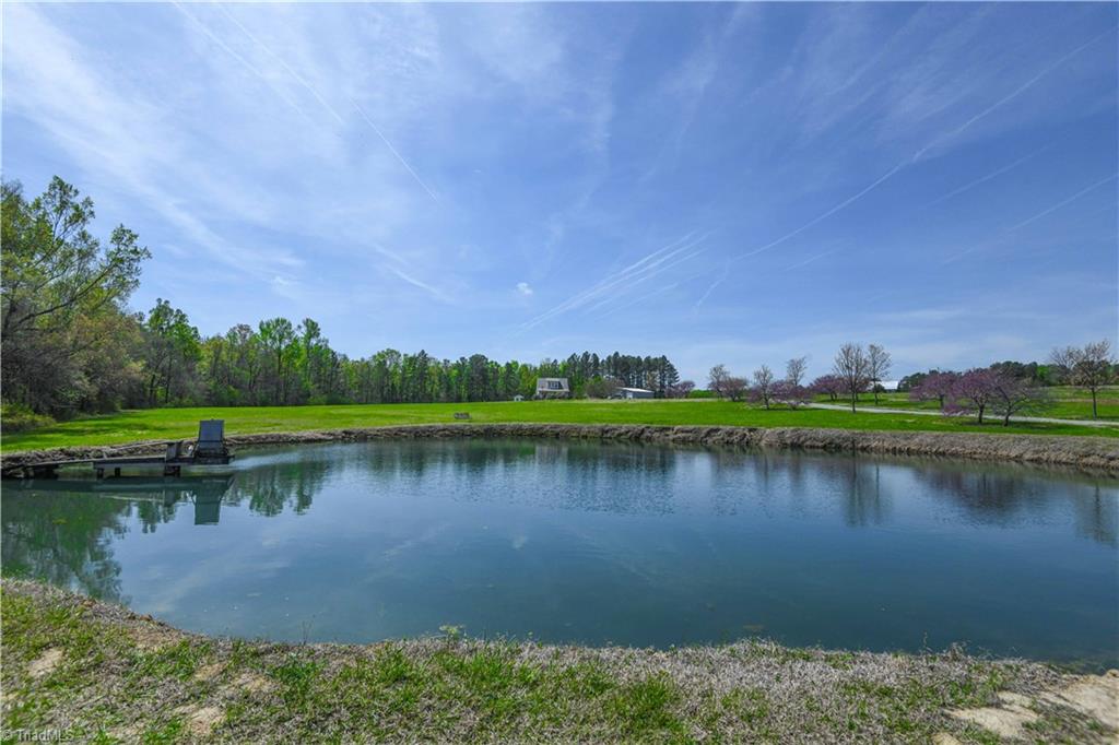 7164 Ludgate Road Gibsonville, NC 27249 - Photo 43 of 50 Springfed stocked with pond with dock