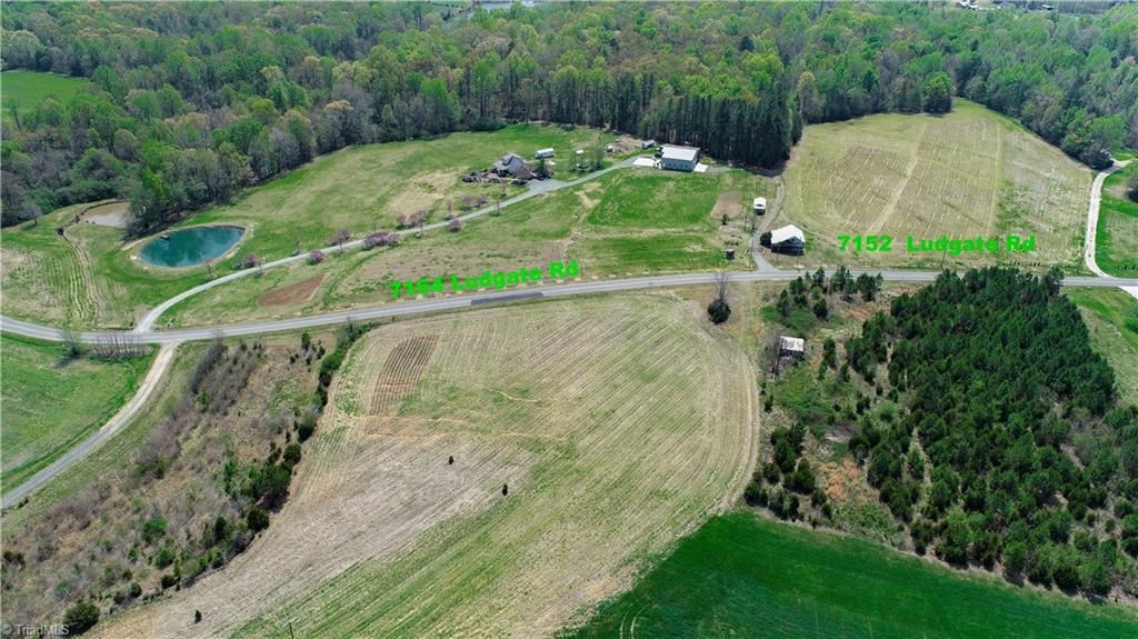 7164 Ludgate Road Gibsonville, NC 27249 - Photo 45 of 50 alt angle of acreage with additional 10 acre parcel
