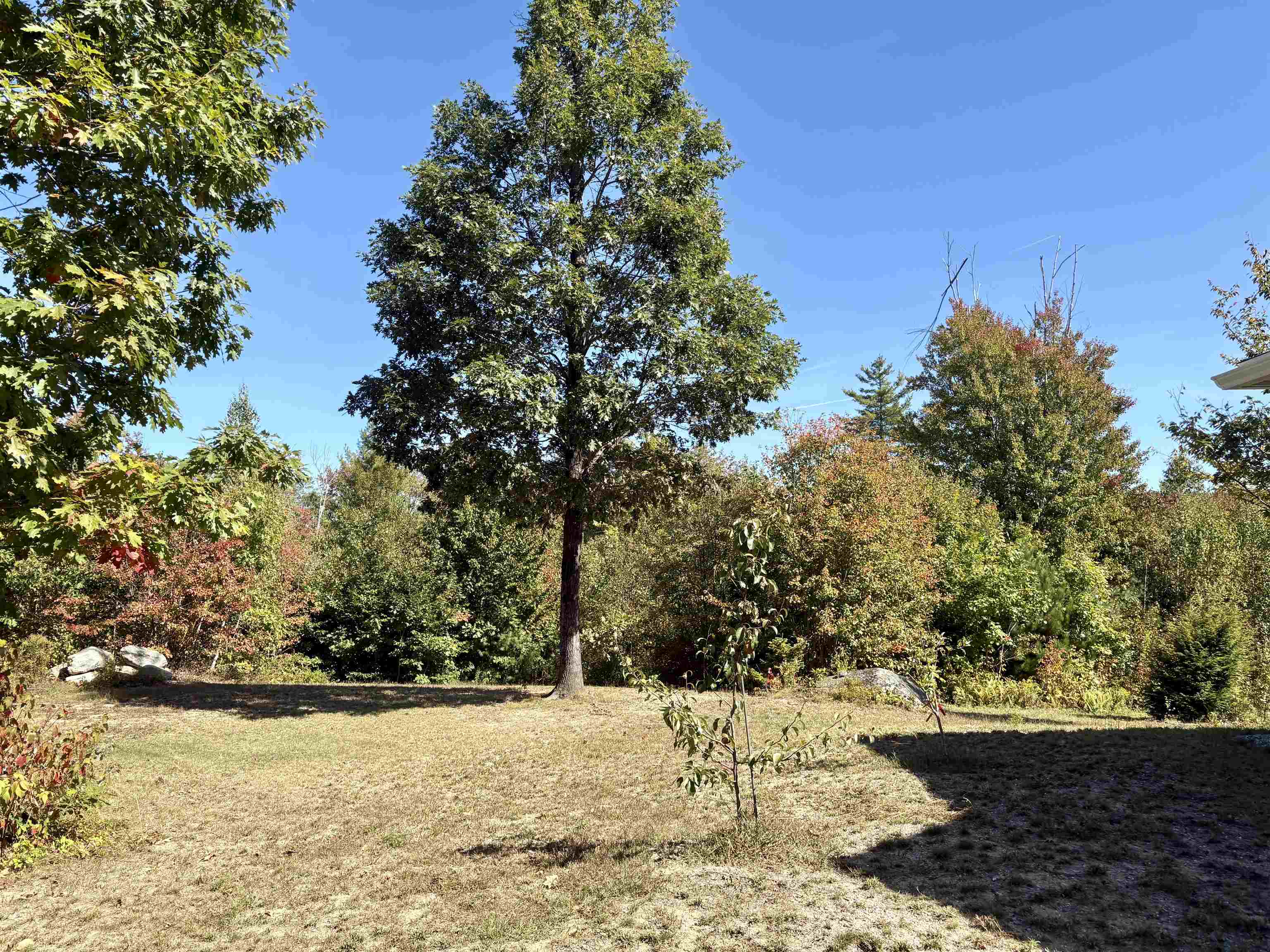 42 East Road Greenfield, NH 03047 - Photo 15 of 16