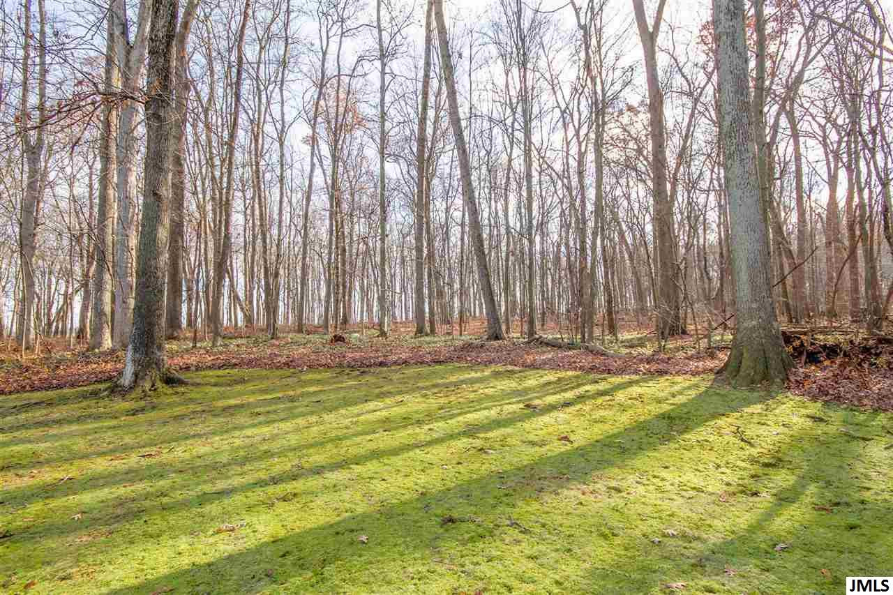 9901 Folks Road Hanover, MI 49241 - Photo 3 of 17 Photo 3