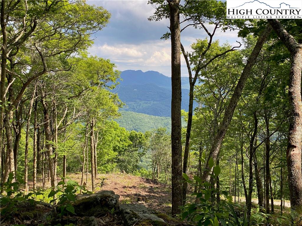Lot 18 Chappell Farm Road Banner Elk, NC 28604 - Photo 1 of 25 Gallery Image 1