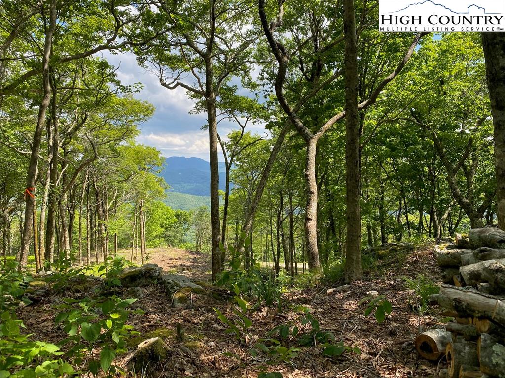 Lot 18 Chappell Farm Road Banner Elk, NC 28604 - Photo 11 of 25 Gallery Image 11