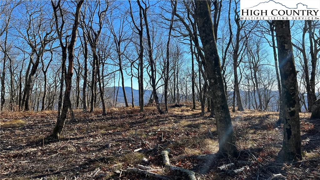 Lot 18 Chappell Farm Road Banner Elk, NC 28604 - Photo 5 of 25 Gallery Image 5