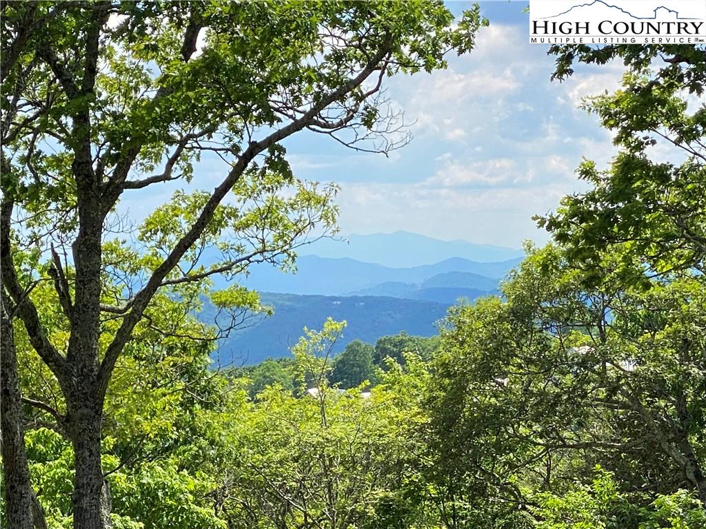 Lot 18 Chappell Farm Road Banner Elk, NC 28604 - Photo 6 of 25 Gallery Image 6
