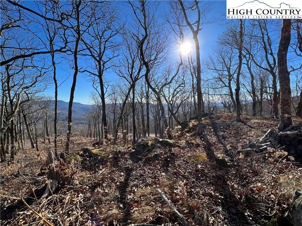 Lot 18 Chappell Farm Road Banner Elk, NC 28604 - Photo 7 of 25 Gallery Image 7
