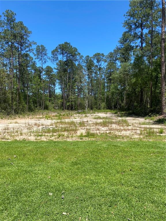 23613 Robert Road Mandeville, LA 70471 - Photo 16 of 16 Gallery Image 16