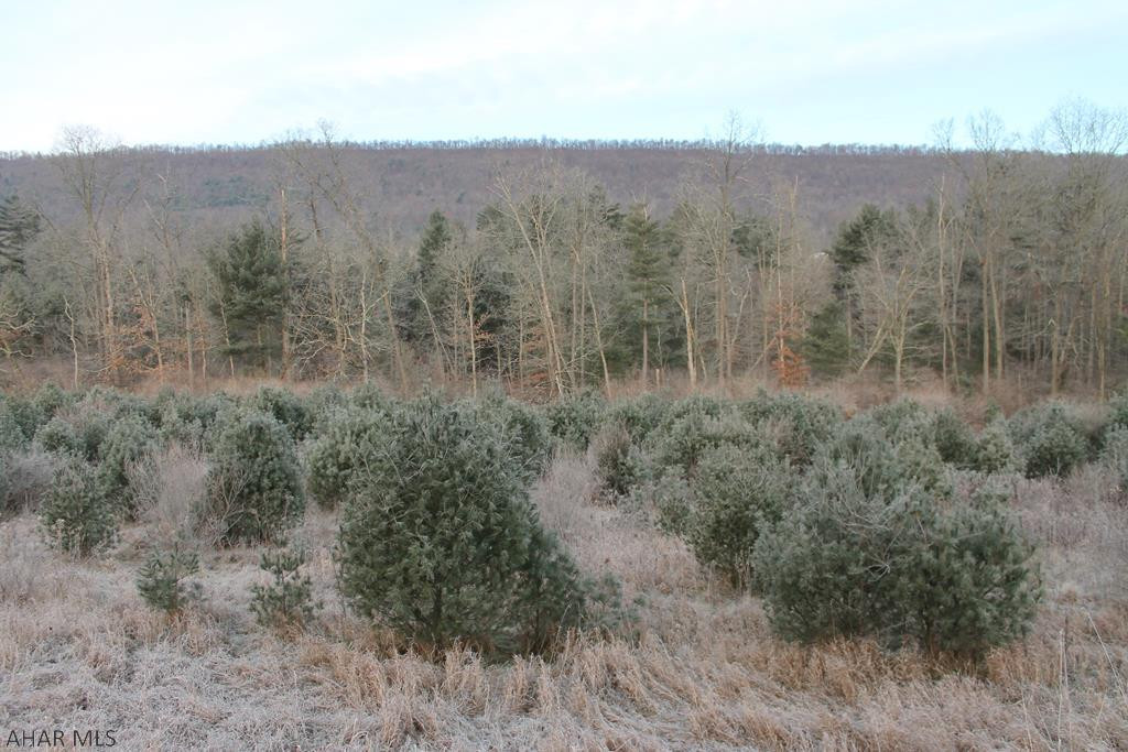 0 Lodge Road Crystal Spring, PA 15536 - Photo 28 of 54 Gallery Image 28