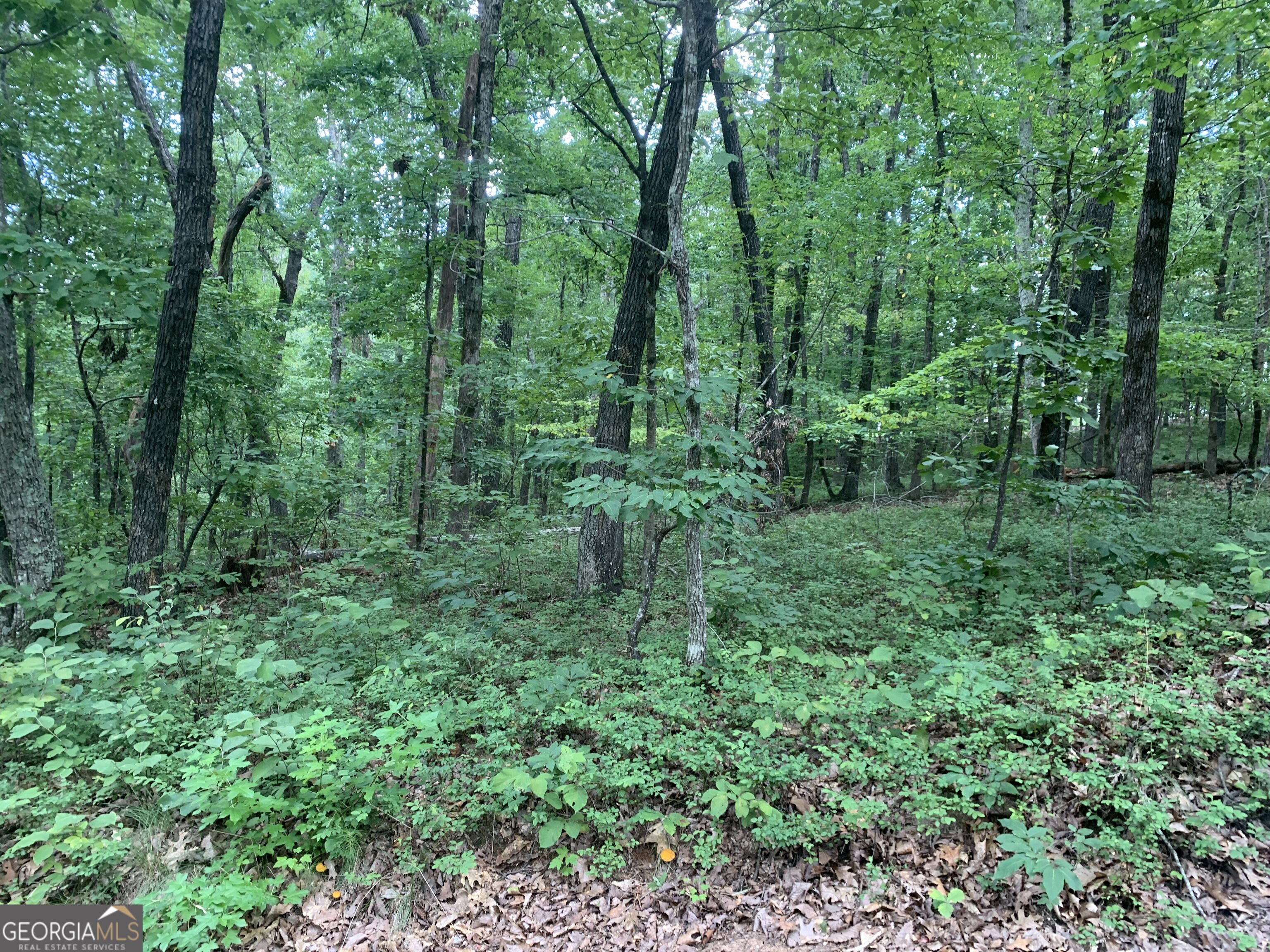 0 Grant Smith Summit Ridge Etc Toccoa, GA 30577 - Photo 18 of 28 Gallery Image 18
