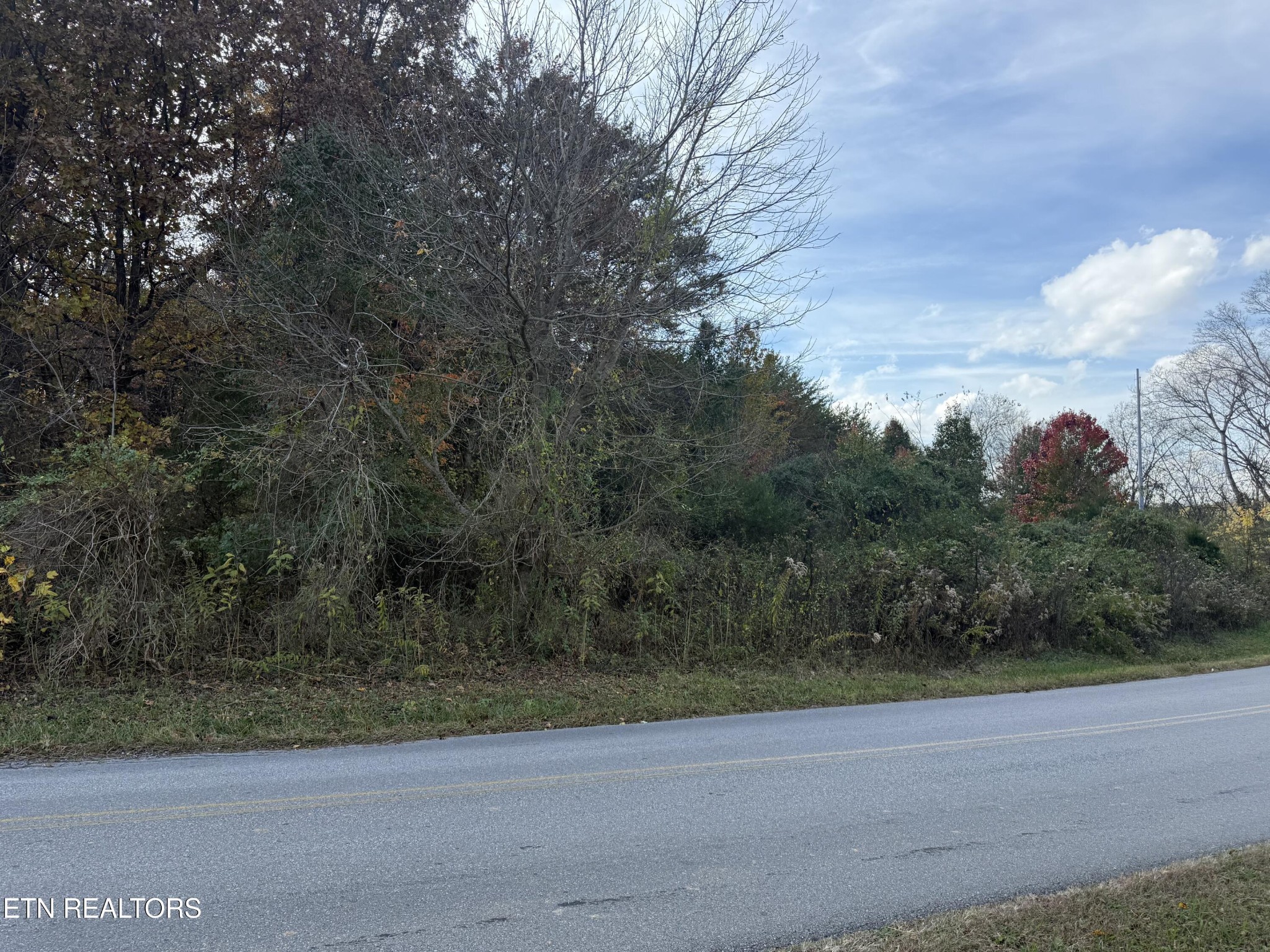 0 Nina Delozier Road Maryville, TN 37804 - Photo 1 of 29 Gallery Image 1