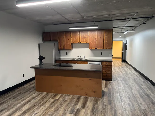 $1,295 | 217 South Badger Avenue, Appleton, WI 54914